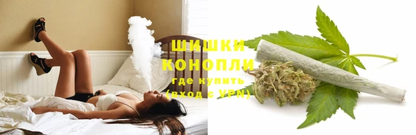 MESCALINE Аркадак