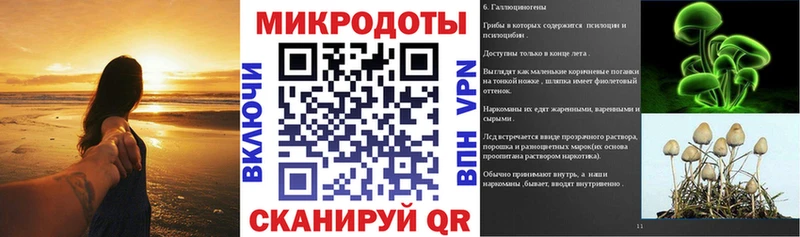 Псилоцибиновые грибы прущие грибы  Арск 